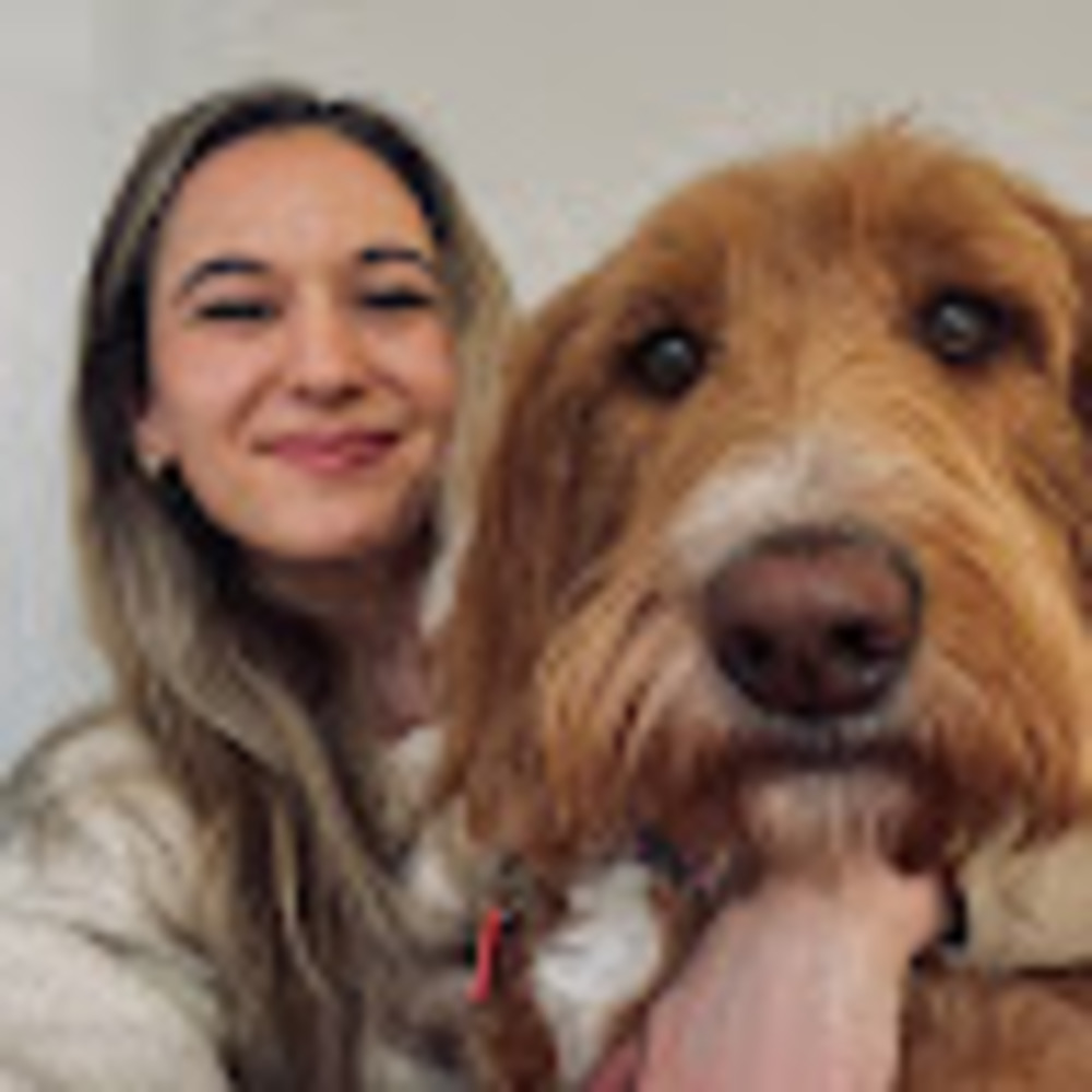 Meet your Posher, Rachel